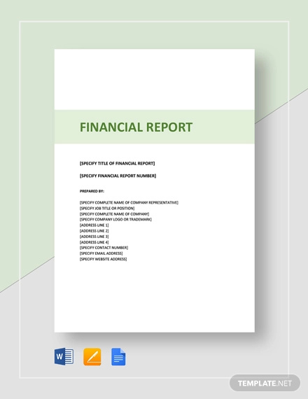 29+ Financial Report Templates - Docs, Word, PDF