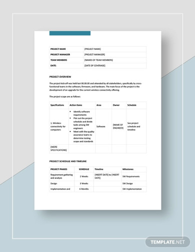 13+ Project Action Plan Templates - Google Docs, Word, Pages, PDF