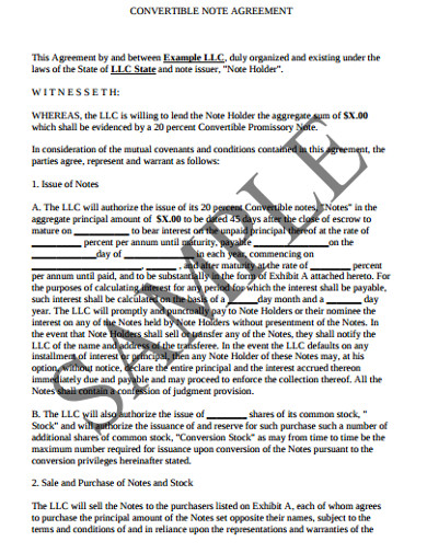 standard convertible agreement example