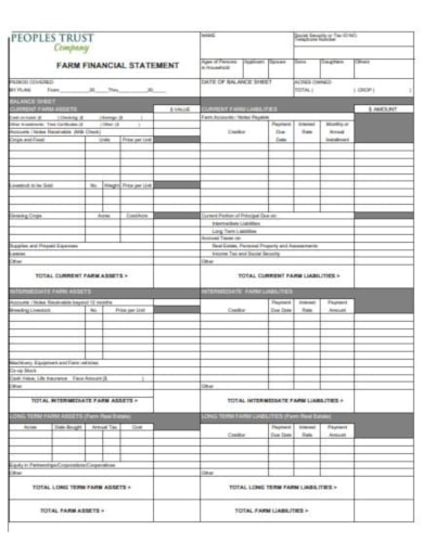 standard farm financial statement template