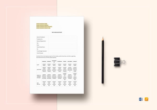 standard travel expense report template