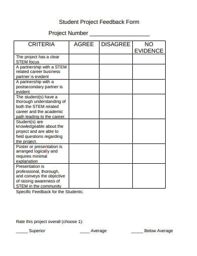 student-project-feedback-template