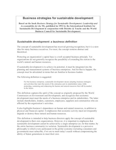sustainable company development plan template