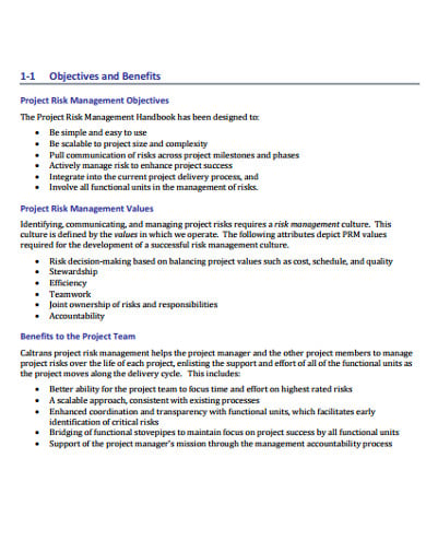 team-for-project-risk-management-template