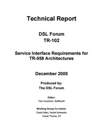 technical report sample