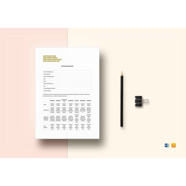 trip expense report template