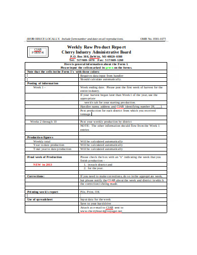 8 Weekly Production Report Templates PDF DOC 8 Weekly Production Report Templates PDF DOC