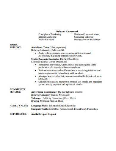 15+ Work Experience Resume Templates - PDF