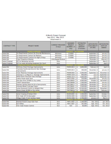 10  Project Forecast Templates DOC PDF