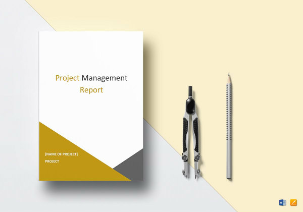 project management report mockup