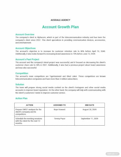 account growth plan template