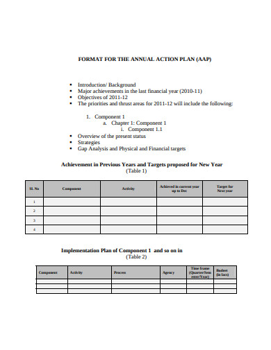 annual-action-plan-format