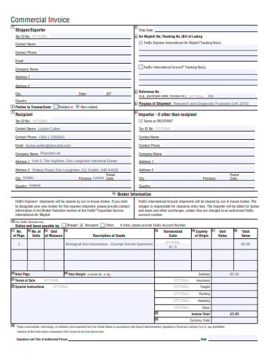 basic-commercial-invoice-in-pdf