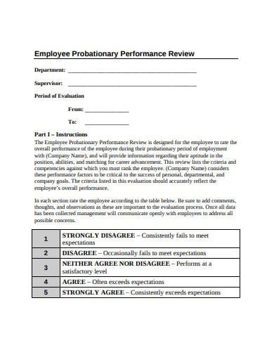 12+ Employee Review Templates in Google Docs | Word | Pages | PDF