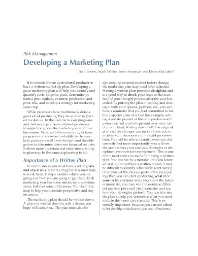 basic marketing plan developing in pdf