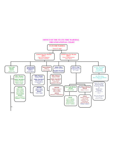 basic-office-organizational-chart
