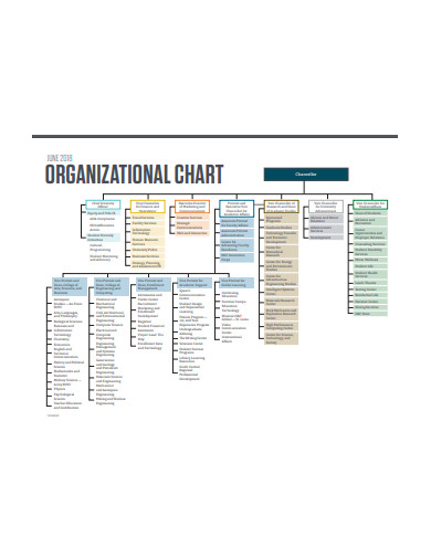 basic organizational chart template