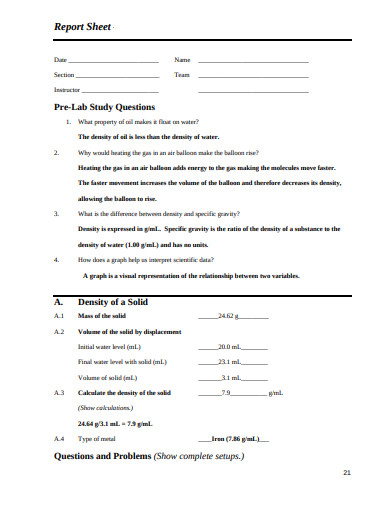 basic-report-sheet-template