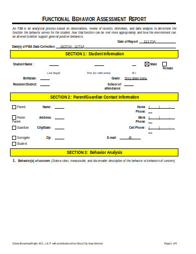 15+ Behaviour Report Templates in Google Docs | Word | Pages | DOC ...