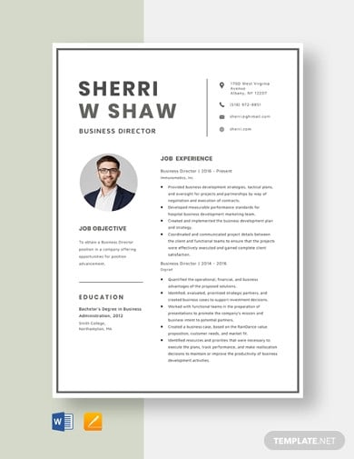 business director resume template