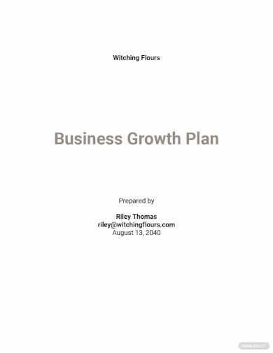 business growth plan