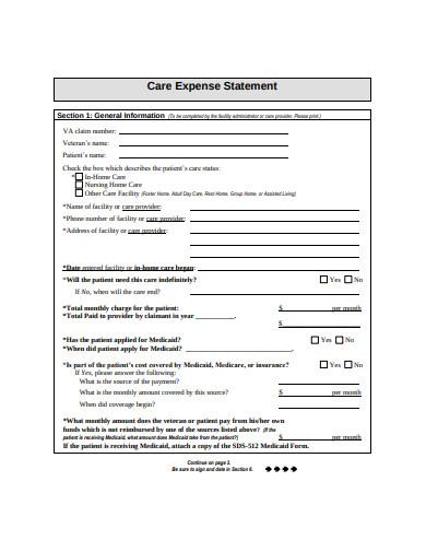 care expense statement example
