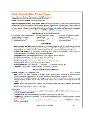 chief-financial-officer-resume-template