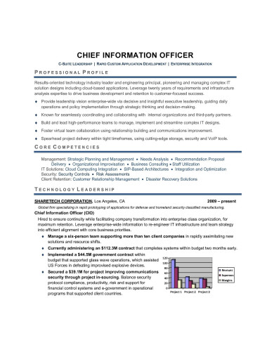 chief-information-officer-resume-in-pdf