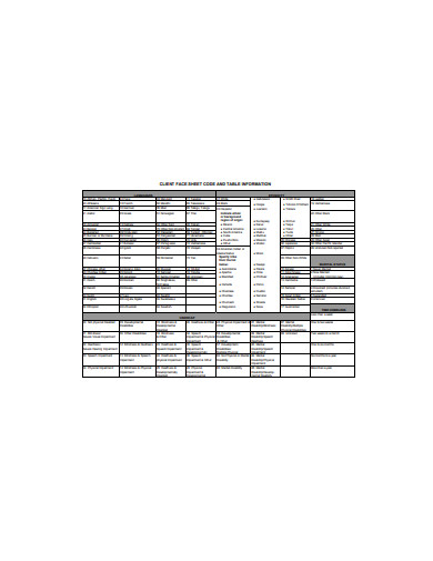 client-face-sheet-code-and-information-sheet-template