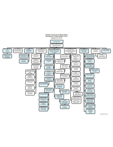 college management organizational chart templates