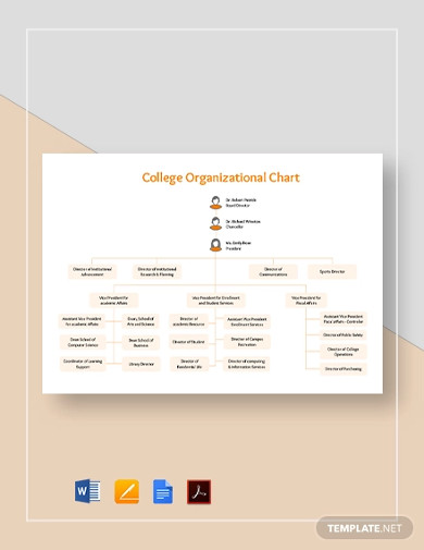 college organizational chart template