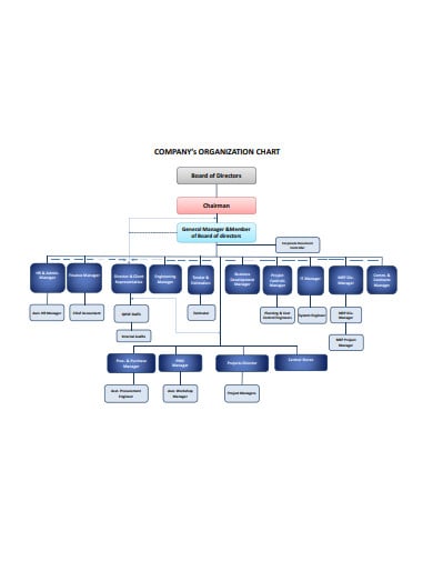 company-organization-chart-template