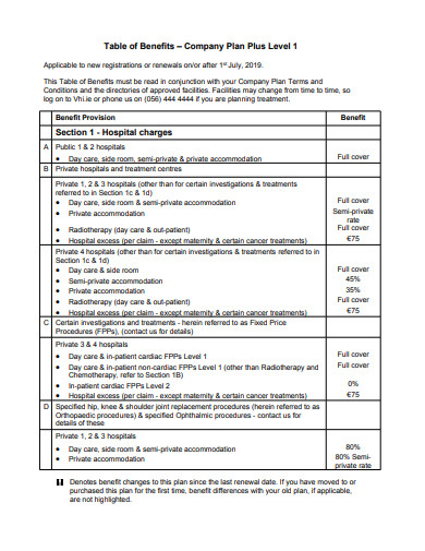 5+ Company Plan Templates in Google Docs | Word | Pages | PDF