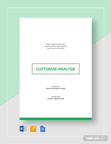 customer analysis template