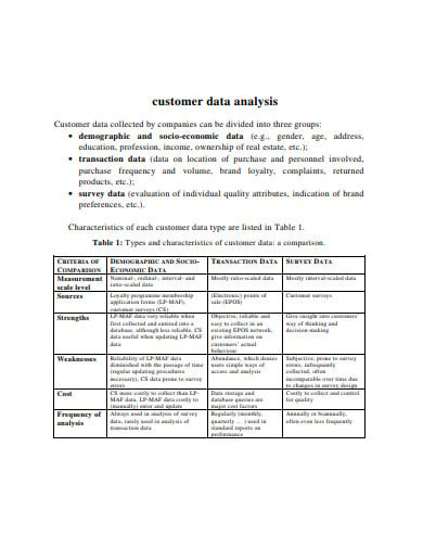 customer data analysis template