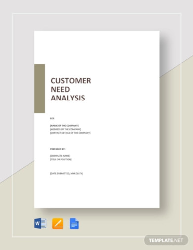 customer needs analysis template1