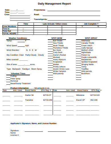 6+ Management Daily Report Templates in PDF | DOC