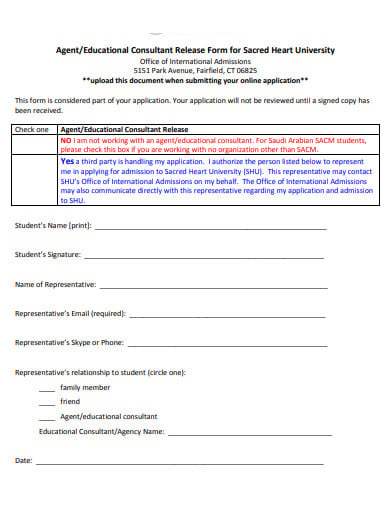 education-consultant-form-template