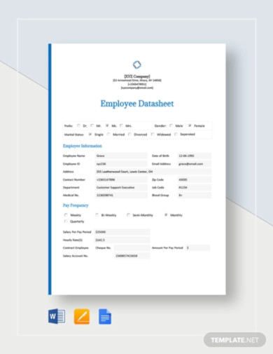 employee datasheet template4