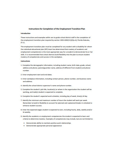 11+ Transition Plan Templates in Google Docs | Word | Pages | PDF | XLS