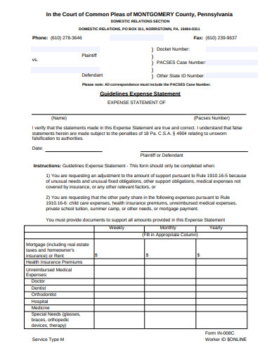 expense statement in pdf