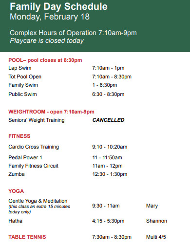 15 Family Schedule Templates In Google Docs Pages Word PDF