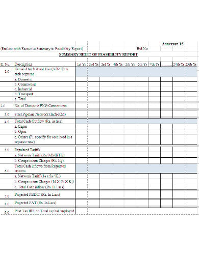 feasibility report template in xls