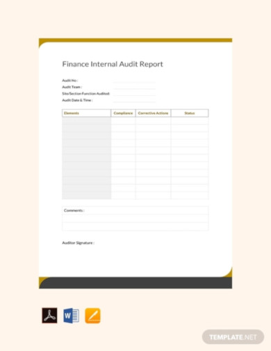 finance internal audit report template
