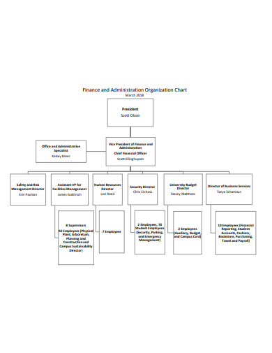 finance organizational chart template