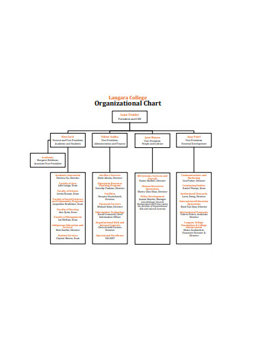 formal organizational chart template