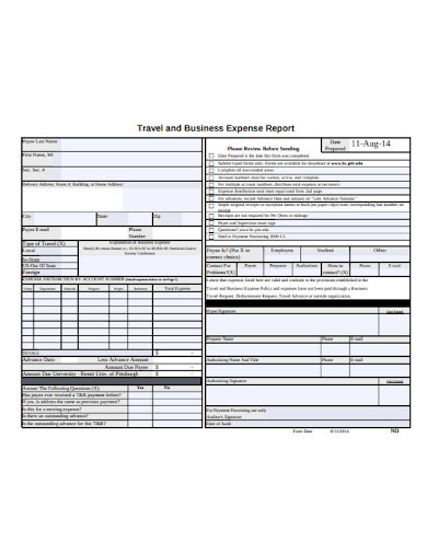 formal travel and business expenses report
