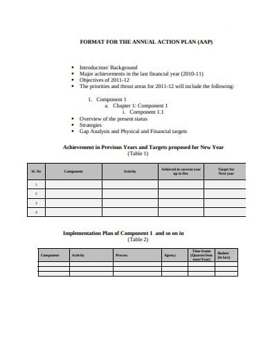 format for the annual action plan