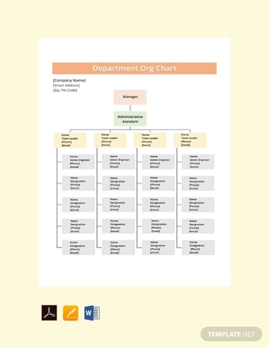 free department org chart template