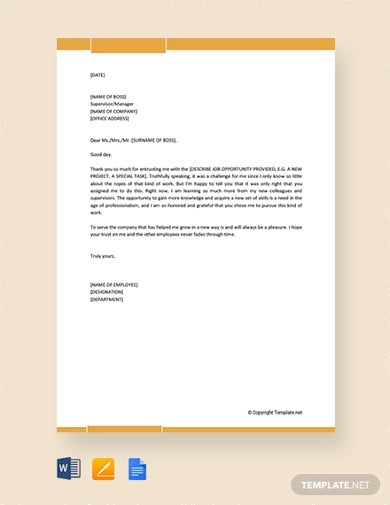 free thank you letter to boss for job opportunity